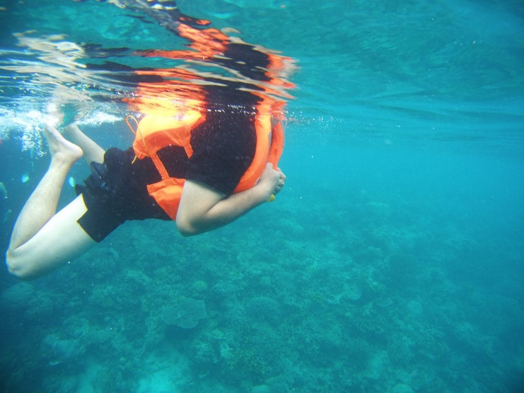Diving di Kepulauan Derawan