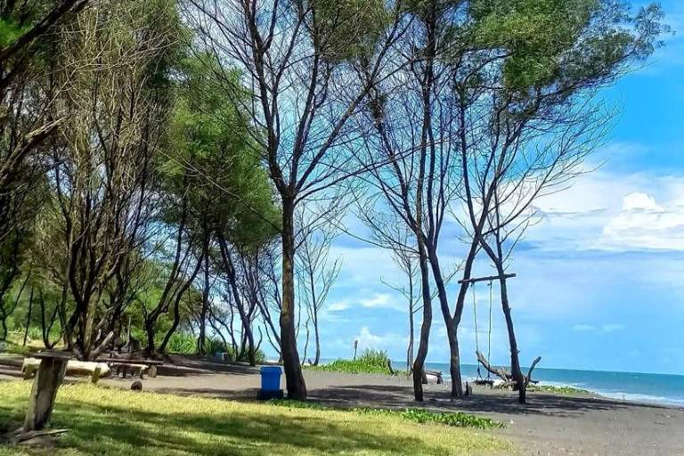 Pantai Cangkring bantul