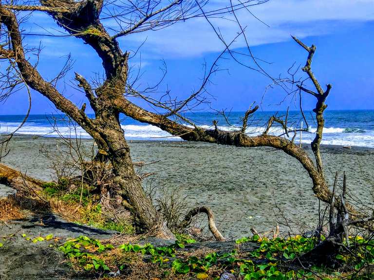 Pantai Dewaruci Bantul