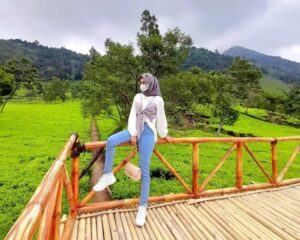 Kebun Teh Tambi Wonosobo