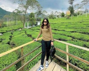 Kebun Teh Tambi Wonosobo