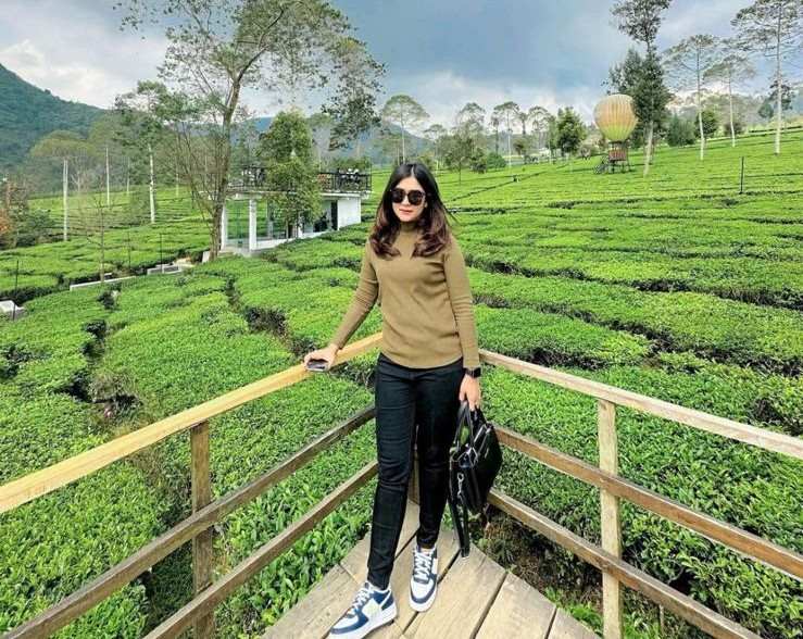 Kebun Teh Tambi Wonosobo