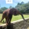 KE RAGUNAN NAIK KRL