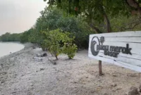 Pulau Merak Besar Icon